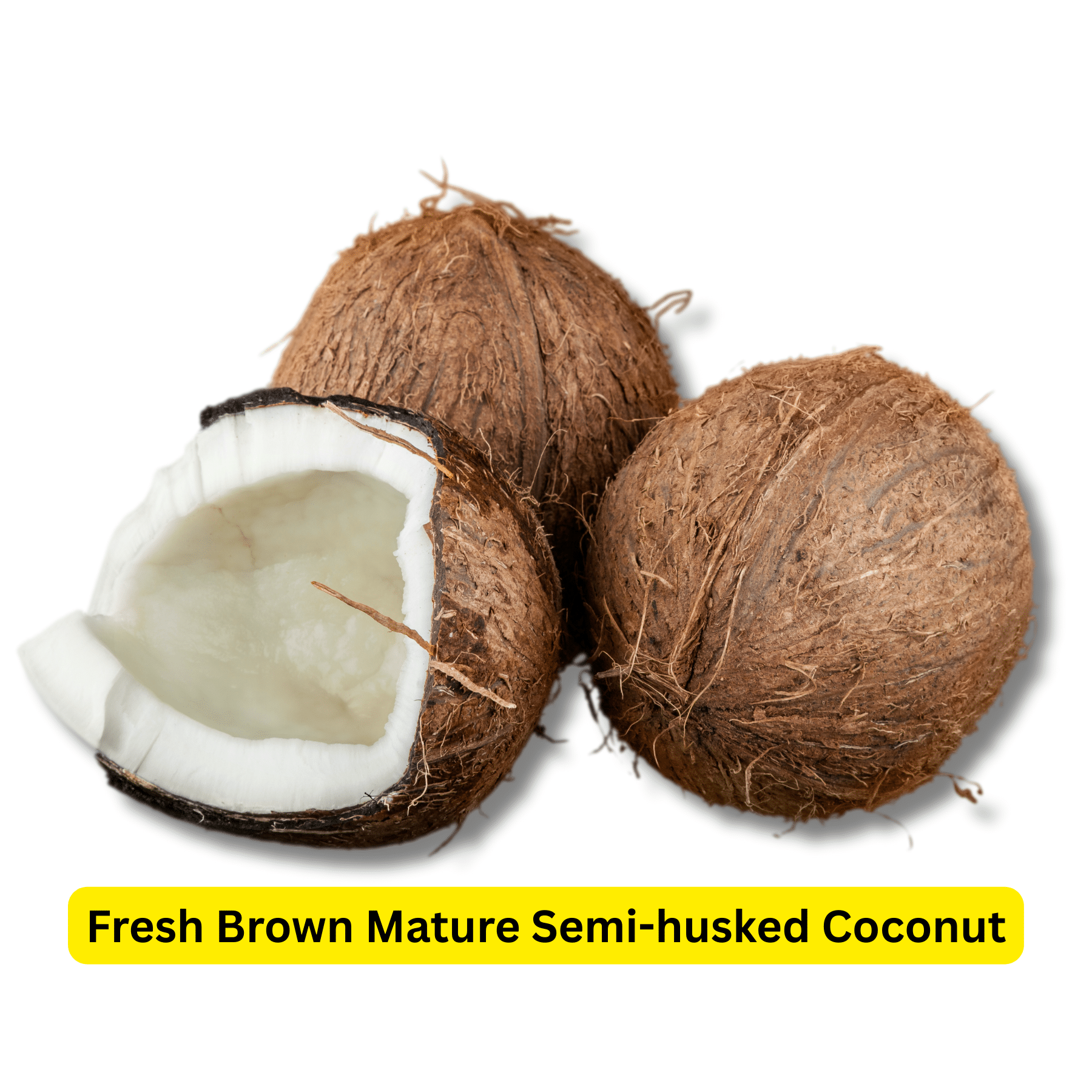Fresh Brown Mature Semi-husked coconut